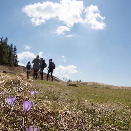 Lake Peak Apartments, Ribnisko Pohorje Ribnica na Pohorju ภายนอก รูปภาพ