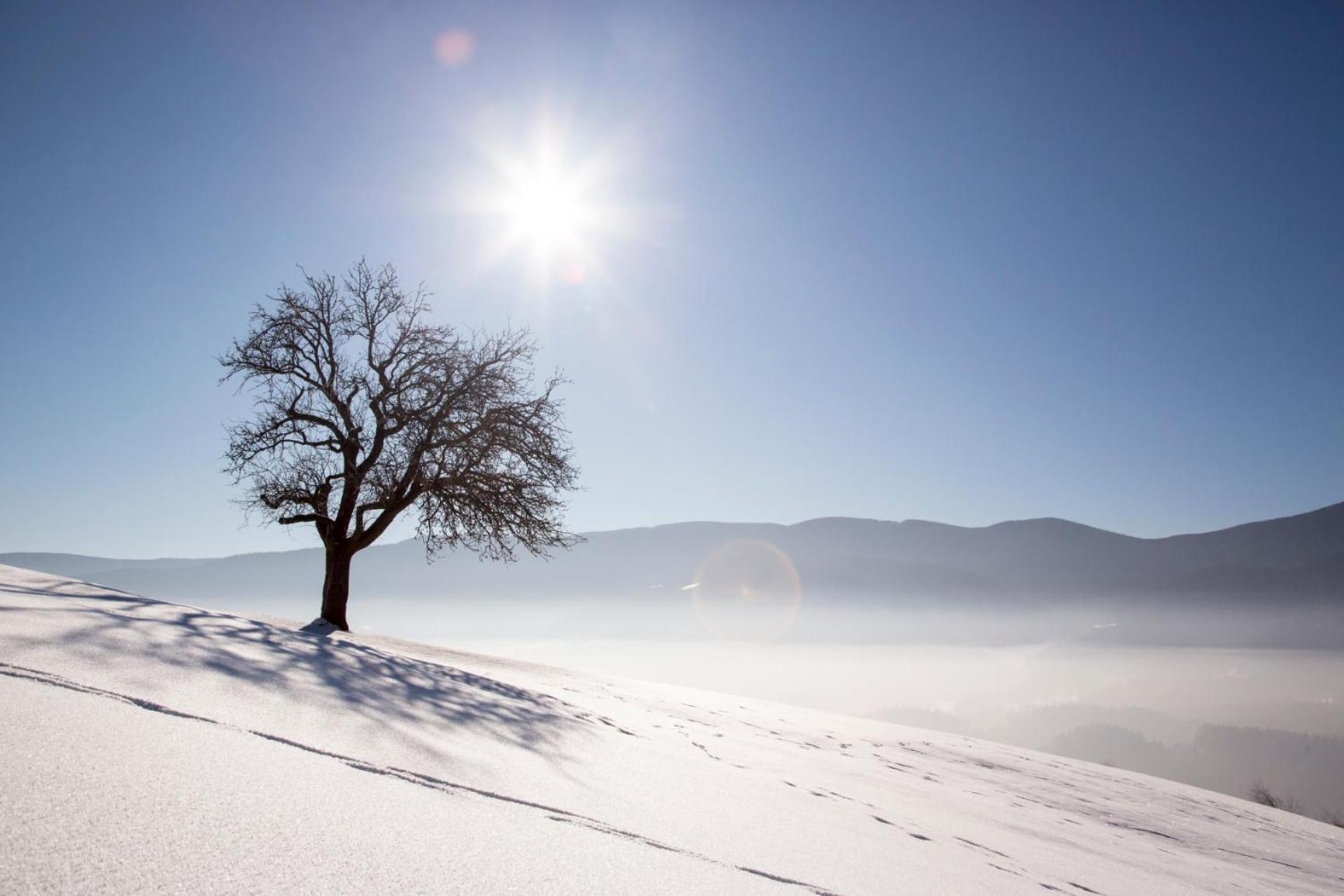 Lake Peak Apartments, Ribnisko Pohorje Ribnica na Pohorju ภายนอก รูปภาพ
