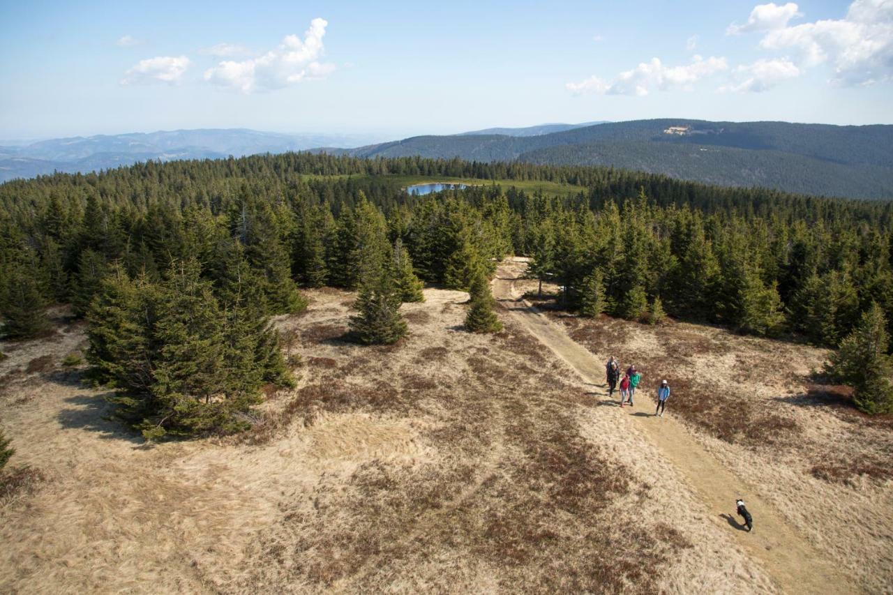 Lake Peak Apartments, Ribnisko Pohorje Ribnica na Pohorju ภายนอก รูปภาพ