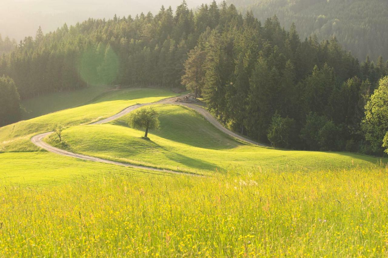 Lake Peak Apartments, Ribnisko Pohorje Ribnica na Pohorju ภายนอก รูปภาพ
