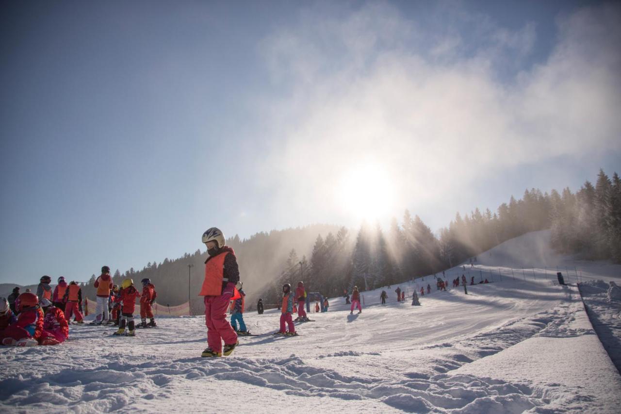 Lake Peak Apartments, Ribnisko Pohorje Ribnica na Pohorju ภายนอก รูปภาพ